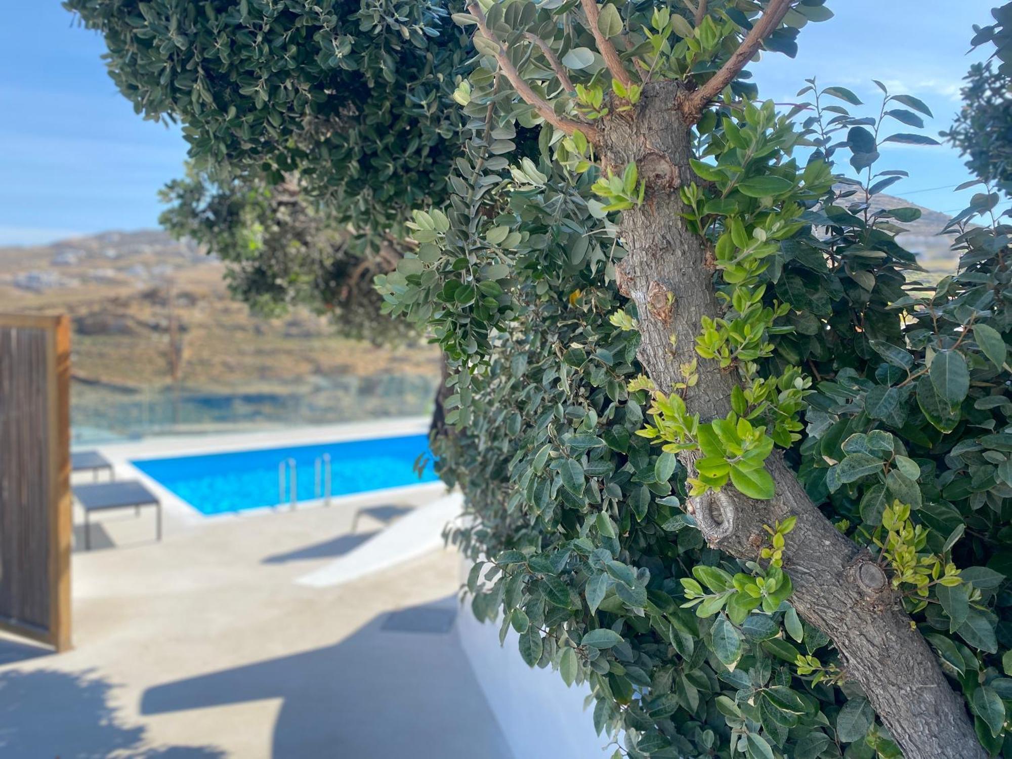 Ftelia Beach Paradise - Villa Irina'S Oasis Kültér fotó
